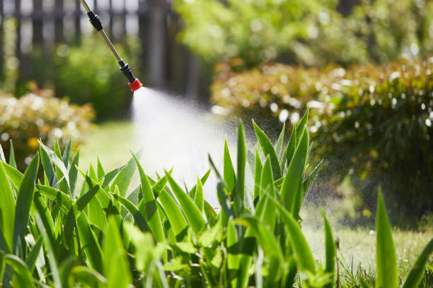24/7 Emergency Rodent Control experts in WaKeeney, KS