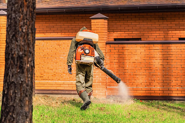 Trusted Rodent Control service in WaKeeney, KS - Nex Pest Control